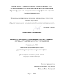 Морозов Иван Александрович. Оценка устойчивости горных выработок в соляных породах Гремячинского месторождения: дис. кандидат наук: 00.00.00 - Другие cпециальности. ФГБУН Пермский федеральный исследовательский центр Уральского отделения Российской академии наук. 2022. 153 с.