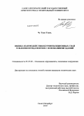 Чу Туан Тхань. Оценка взаимодействия буроинъекционных свай усиления фундаментов с основаниями зданий: дис. кандидат технических наук: 05.23.02 - Основания и фундаменты, подземные сооружения. Санкт-Петербург. 2010. 148 с.