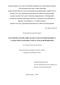 Кливер Владислав Евгеньевич. Патоморфологический анализ трансплантированного сердца при различных сроках холодовой ишемии: дис. кандидат наук: 00.00.00 - Другие cпециальности. ФГБОУ ВО «Новосибирский государственный медицинский университет» Министерства здравоохранения Российской Федерации. 2024. 121 с.