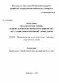 Яхьеев, Мирзо. Педагогические основы формирования позитивного поведения и профилактики правоотклонений у подростков: дис. доктор педагогических наук: 13.00.01 - Общая педагогика, история педагогики и образования. Душанбе. 2007. 320 с.