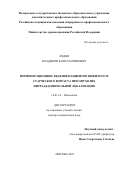 Лядов, Владимир Константинович. Периоперационное ведение пациентов пожилого и старческого возраста при опухолях интраабдоминальной локализации: дис. кандидат наук: 14.01.12 - Онкология. Москва. 2018. 212 с.
