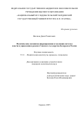 Вагапов Данат Рашитович. Политические механизмы формирования и эволюции системы власти и управления в рамках Союзного государства Беларуси и России: дис. кандидат наук: 00.00.00 - Другие cпециальности. «Национальный исследовательский Нижегородский государственный университет им. Н.И. Лобачевского». 2026. 224 с.