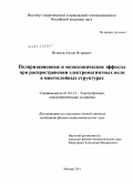 Игнатов, Антон Игоревич. Поляризационные и мезоскопические эффекты при распространении электромагнитных волн в многослойных структурах: дис. кандидат физико-математических наук: 01.04.13 - Электрофизика, электрофизические установки. Москва. 2011. 127 с.