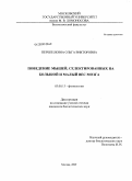 Перепелкина, Ольга Викторовна. Поведение мышей, селектированных на большой и малый вес мозга: дис. кандидат биологических наук: 03.00.13 - Физиология. Москва. 2009. 191 с.