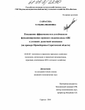 Саврасова, Татьяна Ивановна. Повышение эффективности и устойчивости функционирования зернового подкомплекса АПК в условиях рыночной экономики: На примере Правобережья Саратовской области: дис. кандидат экономических наук: 08.00.05 - Экономика и управление народным хозяйством: теория управления экономическими системами; макроэкономика; экономика, организация и управление предприятиями, отраслями, комплексами; управление инновациями; региональная экономика; логистика; экономика труда. Саратов. 2005. 190 с.