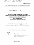 Киселёва, Ольга Борисовна. Повышение экономической эффективности функционирования сельскохозяйственных предприятий: На материалах Рязанской области: дис. кандидат экономических наук: 08.00.05 - Экономика и управление народным хозяйством: теория управления экономическими системами; макроэкономика; экономика, организация и управление предприятиями, отраслями, комплексами; управление инновациями; региональная экономика; логистика; экономика труда. Москва. 2004. 181 с.