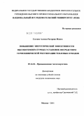 Густаво Алонсо Рестрепо Монги. Повышение энергетической эффективности высокотемпературных установок посредством термохимической рекуперации тепловых отходов: дис. кандидат технических наук: 05.14.04 - Промышленная теплоэнергетика. Москва. 2011. 142 с.
