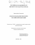Храмов, Денис Геннадьевич. Право пользования недрами в Российской Федерации: дис. кандидат юридических наук: 12.00.06 - Природоресурсное право; аграрное право; экологическое право. Москва. 2004. 194 с.