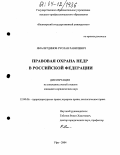 Ямалетдинов, Руслан Равилевич. Правовая охрана недр в Российской Федерации: дис. кандидат юридических наук: 12.00.06 - Природоресурсное право; аграрное право; экологическое право. Уфа. 2004. 178 с.