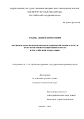 Дубень Андрей Кириллович. Правовое обеспечение информационной безопасности в системе информационного права в Российской Федерации: дис. кандидат наук: 00.00.00 - Другие cпециальности. ФГБУН Институт государства и права Российской академии наук. 2023. 245 с.