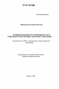 Шнейдерова, Екатерина Павловна. Правовые проблемы регулирования труда и социального обеспечения, связанные с ВИЧ/СПИДом: дис. кандидат юридических наук: 12.00.05 - Трудовое право; право социального обеспечения. Москва. 2007. 180 с.