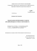 Лушников, Олег Вадимович. Предпосылки, формирование и развитие евразийской идеи: история и современность: дис. кандидат исторических наук: 07.00.02 - Отечественная история. Ижевск. 2008. 228 с.