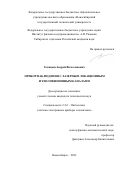Голицын Андрей Вячеславович. Прибор наблюдения с лазерным локационным и тепловизионным каналами: дис. кандидат наук: 00.00.00 - Другие cпециальности. ФГБОУ ВО «Новосибирский государственный технический университет». 2022. 116 с.
