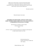 Вагнер Екатерина Алексеевна. Принципы формирования архитектурной среды общественных пешеходных пространств в контексте сложившейся городской застройки: дис. кандидат наук: 05.23.20 - Теория и история архитектуры, реставрация и реконструкция историко-архитектурного наследия. ФГБОУ ВО «Нижегородский государственный архитектурно-строительный университет». 2018. 301 с.