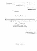 Зызов, Иван Михайлович. Прогнозирование исходов эндодонтического лечения осложнений кариеса при закрытии перфораций твердых тканей зуба: дис. кандидат наук: 14.01.14 - Стоматология. Нижний Новород. 2014. 203 с.