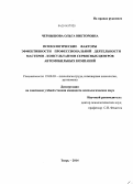 Чернышова, Ольга Викторовна. Психологические факторы эффективности профессиональной деятельности мастеров-консультантов сервисных центров автомобильных компаний: дис. кандидат наук: 19.00.03 - Психология труда. Инженерная психология, эргономика.. Тверь. 2014. 217 с.