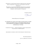 Новиков Владислав Александрович. Растворный СВС наноструктурных материалов на основе медно-хромовой и никель-хромовой шпинелей и их каталитическая активность в процессе окисления монооксида углерода: дис. кандидат наук: 01.04.17 - Химическая физика, в том числе физика горения и взрыва. ФГБОУ ВО «Самарский государственный технический университет». 2020. 218 с.