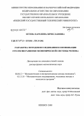 Кетова, Каролина Вячеславовна. Разработка методов исследования и оптимизация стратегии развития экономической системы региона: дис. доктор физико-математических наук: 08.00.13 - Математические и инструментальные методы экономики. Ижевск. 2008. 285 с.
