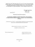 Пучков, Евгений Владимирович. Разработка нейросетевой системы управления технологическими процессами на сортировочных горках: дис. кандидат технических наук: 05.13.06 - Автоматизация и управление технологическими процессами и производствами (по отраслям). Ростов-на-Дону. 2011. 213 с.