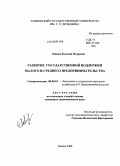 Левина, Евгения Игоревна. Развитие государственной поддержки малого и среднего предпринимательства: дис. кандидат экономических наук: 08.00.05 - Экономика и управление народным хозяйством: теория управления экономическими системами; макроэкономика; экономика, организация и управление предприятиями, отраслями, комплексами; управление инновациями; региональная экономика; логистика; экономика труда. Тамбов. 2008. 158 с.