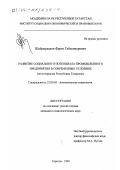 Шаймарданов, Фарит Габденнурович. Развитие социального потенциала промышленного предприятия в современных условиях: На материалах Республики Татарстан: дис. кандидат социологических наук: 22.00.03 - Экономическая социология и демография. Саратов. 1999. 133 с.