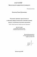 Москалева, Рания Нургаяновна. Реализация принципа преемственности в обучении учащихся начальной и основной ступеней школы с углубленным изучением математики: дис. кандидат педагогических наук: 13.00.01 - Общая педагогика, история педагогики и образования. Магнитогорск. 2007. 211 с.