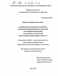 Лебедев, Александр Анатольевич. Региональная социальная политика :проблемы формирования и реализации в Российской Федерации: На материалах областей Центрального федерального округа: дис. кандидат политических наук: 23.00.02 - Политические институты, этнополитическая конфликтология, национальные и политические процессы и технологии. Орел. 2004. 198 с.