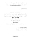 Ершова Наталия Михайловна. Роль гомолога ингибитора пептидаз Кунитца Nicotiana benthamiana в системе взаимодействий вирус-растение: дис. кандидат наук: 00.00.00 - Другие cпециальности. ФГБОУ ВО «Московский государственный университет имени М.В. Ломоносова». 2025. 118 с.