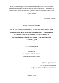 Кочева Елена Александровна. Роль кругового эписклерального пломбирования в хирургическом лечении пациентов с рецидивами регматогенной отслойки сетчатки после витреоретинальной хирургии с силиконовой тампонадой: дис. кандидат наук: 00.00.00 - Другие cпециальности. ФГБУ «Национальный медицинский исследовательский центр глазных болезней имени Гельмгольца» Министерства здравоохранения Российской Федерации. 2024. 146 с.