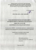 Киселева, Анна Александровна. Роль некоммерческих организаций в формировании и развитии гражданского общества в России: на примере Краснодарского края: дис. кандидат политических наук: 23.00.02 - Политические институты, этнополитическая конфликтология, национальные и политические процессы и технологии. Краснодар. 2008. 211 с.