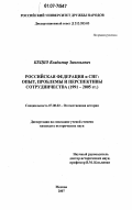 Кецко, Владимир Зиновьевич. Российская Федерация и СНГ: опыт, проблемы и перспективы сотрудничества: 1991-2005 гг.: дис. кандидат исторических наук: 07.00.02 - Отечественная история. Москва. 2007. 161 с.