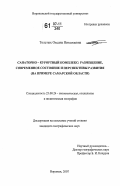 Толстых, Оксана Николаевна. Санаторно-курортный комплекс: размещение, современное состояние и перспективы развития: на примере Самарской области: дис. кандидат географических наук: 25.00.24 - Экономическая, социальная и политическая география. Воронеж. 2007. 198 с.