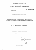Шейшенов, Жамин Орозобекович. Селективная диагностика многофакельного процесса горения газообразных углеводородов: дис. кандидат технических наук: 05.13.18 - Математическое моделирование, численные методы и комплексы программ. Новосибирск. 2009. 119 с.