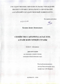 Белкин, Денис Леонидович. Семейство Caryophyllaceae Juss. Алтайской горной страны: дис. кандидат биологических наук: 03.02.01 - Ботаника. Барнаул. 2010. 360 с.