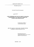 Елисеева, Татьяна Владимировна. Симулятивные образы массового сознания современного российского общества: социально-философский анализ: дис. кандидат философских наук: 09.00.11 - Социальная философия. Москва. 2010. 199 с.