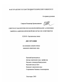 Смирнов, Владимир Брониславович. Синтез и гомолитическое фосфорилирование аллиловых эфиров ε-аминокапроновой кислоты и ее олигомеров: дис. кандидат химических наук: 02.00.03 - Органическая химия. Волгоград. 2003. 161 с.
