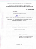 Коврыжкин, Андрей Александрович. Система управления мостовым краном, построенная с учетом систем демпфирования колебаний груза и ограничения перекоса моста: дис. кандидат технических наук: 05.09.03 - Электротехнические комплексы и системы. Воронеж. 2011. 171 с.