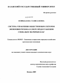 Ясницкая, Яна Станиславовна. Система управления общественным сектором экономики региона в сфере предоставления социально значимых благ: дис. кандидат экономических наук: 08.00.05 - Экономика и управление народным хозяйством: теория управления экономическими системами; макроэкономика; экономика, организация и управление предприятиями, отраслями, комплексами; управление инновациями; региональная экономика; логистика; экономика труда. Казань. 2009. 201 с.
