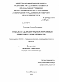 Ситникова, Евгения Леонидовна. Социальная адаптация трудовых мигрантов: на примере Нижегородской области: дис. кандидат социологических наук: 22.00.04 - Социальная структура, социальные институты и процессы. Нижний Новгород. 2013. 130 с.