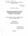 Калтырина, Ирина Владимировна. Социально-экономическая стратегия развития инфраструктуры региона: приоритеты и перспективы: дис. кандидат экономических наук: 08.00.05 - Экономика и управление народным хозяйством: теория управления экономическими системами; макроэкономика; экономика, организация и управление предприятиями, отраслями, комплексами; управление инновациями; региональная экономика; логистика; экономика труда. Ростов-на-Дону. 2005. 176 с.
