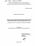 Швакова, Юлия Александровна. Социально-экономический механизм взаимосвязи профессионального образования и рынка труда: дис. кандидат социологических наук: 22.00.03 - Экономическая социология и демография. Саратов. 2005. 227 с.