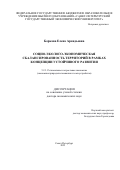 Боркова Елена Аркадьевна. Социо-эколого-экономическая сбалансированность территорий в рамках концепции устойчивого развития: дис. доктор наук: 00.00.00 - Другие cпециальности. «Санкт-Петербургский государственный экономический университет». 2026. 449 с.