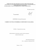 Шарипова, Эльвира Маннуровна. Социокультурная специфика религиозного фанатизма: дис. кандидат наук: 22.00.06 - Социология культуры, духовной жизни. Тюмень. 2014. 198 с.