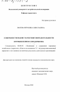 Ефлова, Вероника Николаевна. Совершенствование маркетинговой деятельности промышленного предприятия: дис. кандидат экономических наук: 08.00.05 - Экономика и управление народным хозяйством: теория управления экономическими системами; макроэкономика; экономика, организация и управление предприятиями, отраслями, комплексами; управление инновациями; региональная экономика; логистика; экономика труда. Москва. 2002. 157 с.