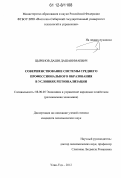 Цыренов, Даши Дашанимаевич. Совершенствование системы среднего профессионального образования в условиях регионализации: дис. кандидат экономических наук: 08.00.05 - Экономика и управление народным хозяйством: теория управления экономическими системами; макроэкономика; экономика, организация и управление предприятиями, отраслями, комплексами; управление инновациями; региональная экономика; логистика; экономика труда. Улан-Удэ. 2012. 192 с.