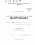 Ивченко, Юлия Сергеевна. Совершенствование системы управления материальными запасами на промышленном предприятии: дис. кандидат экономических наук: 08.00.05 - Экономика и управление народным хозяйством: теория управления экономическими системами; макроэкономика; экономика, организация и управление предприятиями, отраслями, комплексами; управление инновациями; региональная экономика; логистика; экономика труда. Новороссийск. 2004. 160 с.