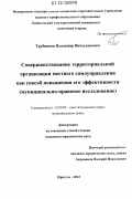 Трубников, Владимир Вячеславович. Совершенствование территориальной организации местного самоуправления как способ повышения его эффективности: муниципально-правовое исследование: дис. кандидат наук: 12.00.02 - Конституционное право; муниципальное право. Иркутск. 2012. 208 с.