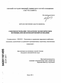 Штеле, Евгения Анатольевна. Совершенствование управления экономическим потенциалом железнодорожной компании: дис. кандидат экономических наук: 08.00.05 - Экономика и управление народным хозяйством: теория управления экономическими системами; макроэкономика; экономика, организация и управление предприятиями, отраслями, комплексами; управление инновациями; региональная экономика; логистика; экономика труда. Омск. 2011. 173 с.
