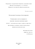 Бутурлакин Александр Александрович. Специальные классы подгрупп и строение локально конечных групп: дис. доктор наук: 01.01.06 - Математическая логика, алгебра и теория чисел. ФГБУН Институт математики им. С.Л. Соболева Сибирского отделения Российской академии наук. 2021. 103 с.