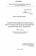 Фомин, Сергей Валериевич. Сравнительно-морфологический анализ скелета конечностей грызунов надсемейства тушканчикообразных: Dipodoidea: дис. кандидат биологических наук: 03.00.08 - Зоология. Москва. 2006. 228 с.